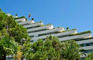 L&rsquo;outil permettant d&rsquo;évaluer et comparer le patrimoine arboré des villes - Limmedia